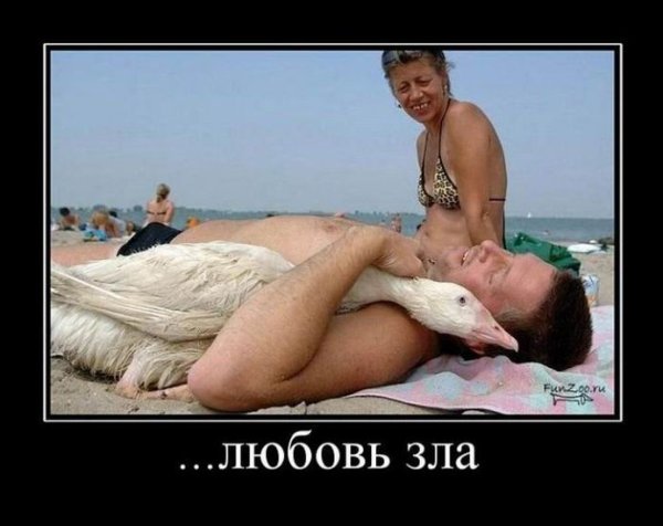 Любовь зла демотиватор
