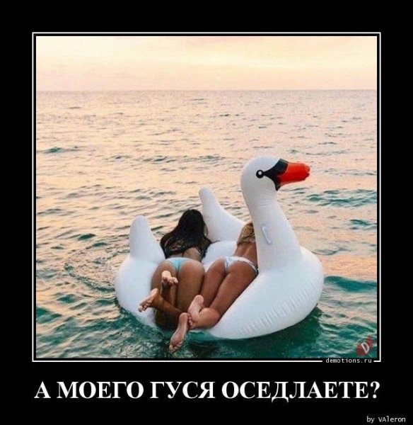 Демотиваторы с гусем