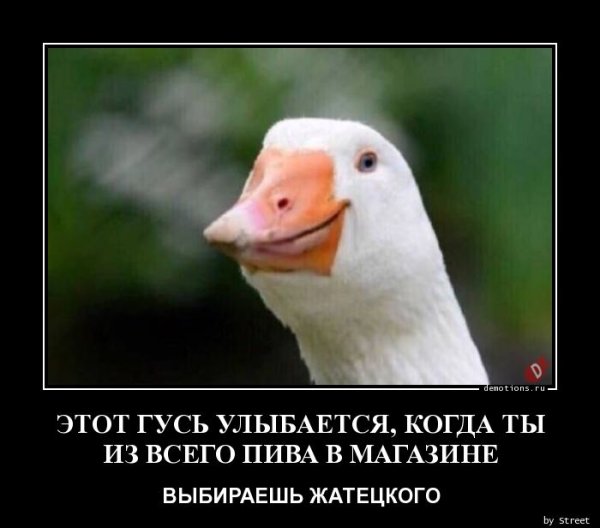 Гусь Мем