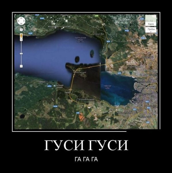 Россия демотиватор гуси