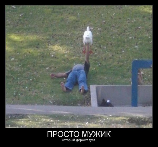 Мужик с гусем