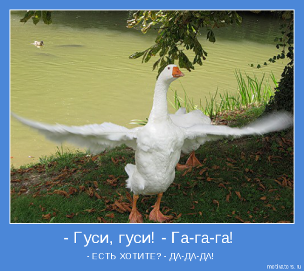 Гусиные ноги