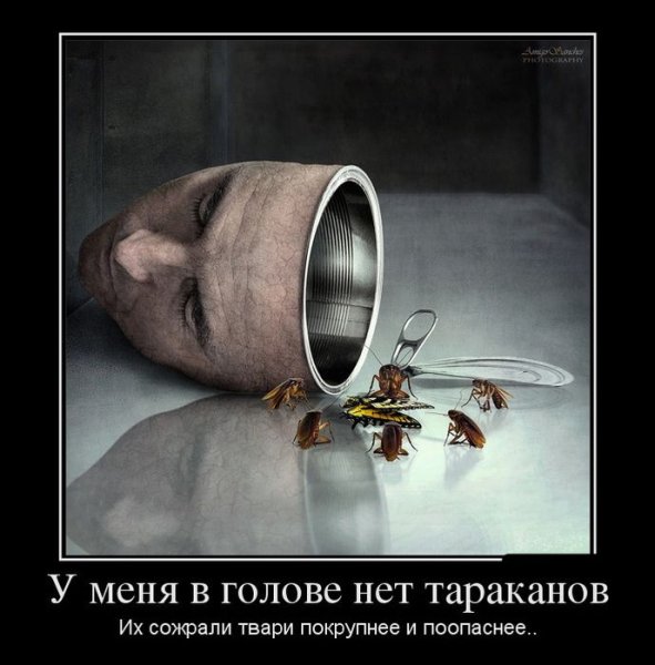 Демотиватор тараканы в голове