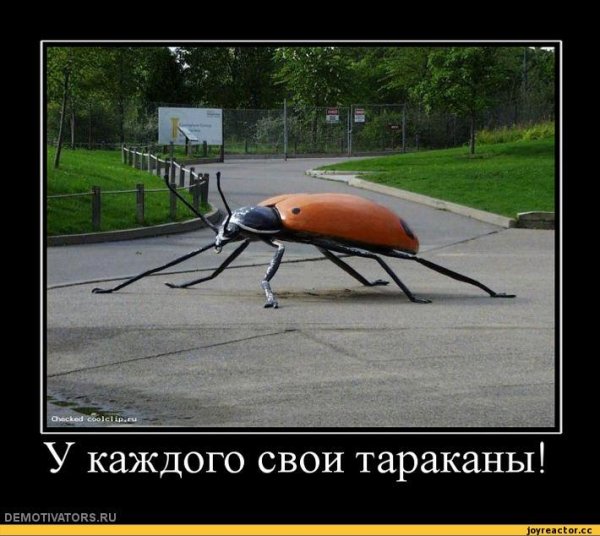 Насекомые демотиватор