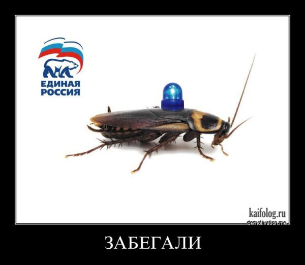 Демотиватор тараканы в голове