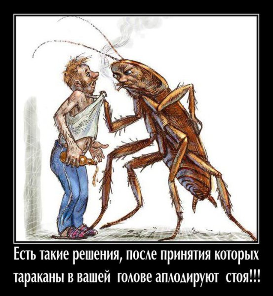 Таракан карикатура
