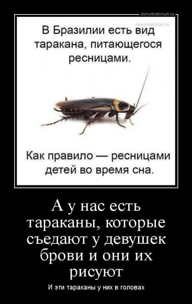 Смешно про тараканов