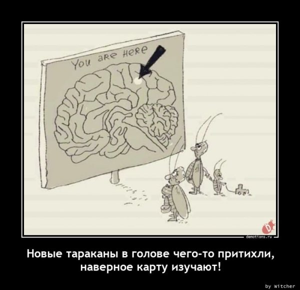 Демотиватор тараканы в голове