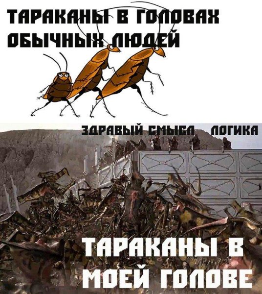 Смешное про тараканов в голове