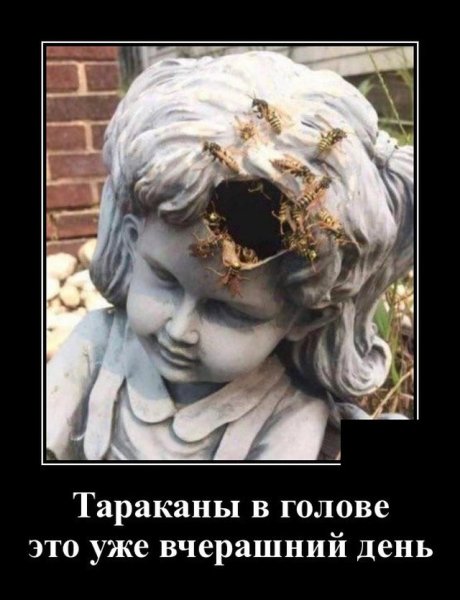 Демотиватор тараканы в голове