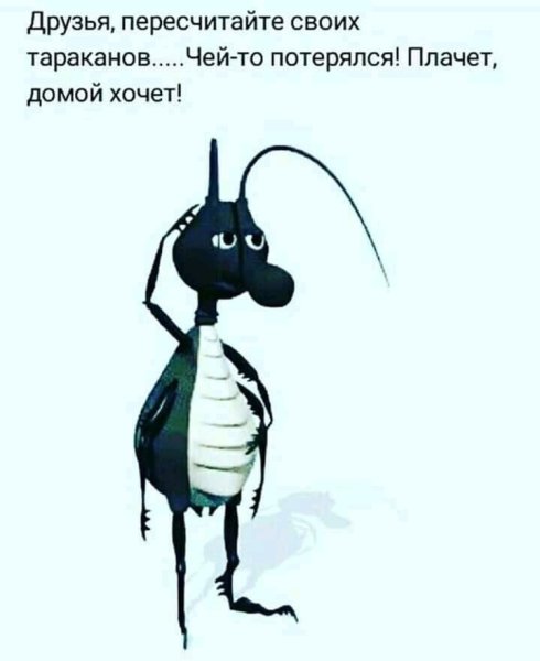Высказывания о тараканах в голове