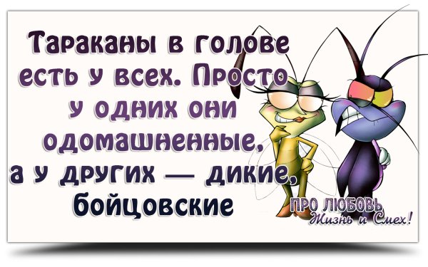 Тараканы в голове приколы