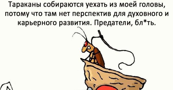 Тараканы в голове