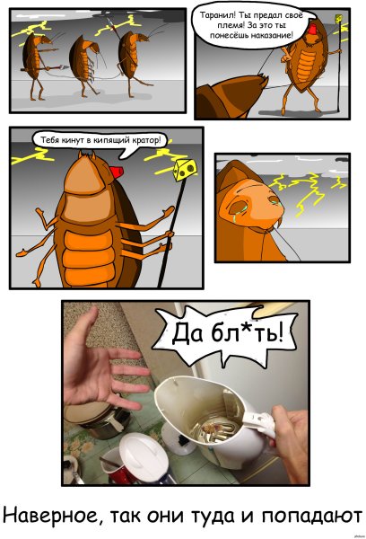Тараканы в голове