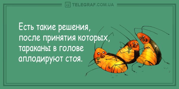 Тараканы в голове приколы