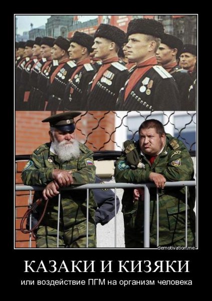 Кизяки казаки
