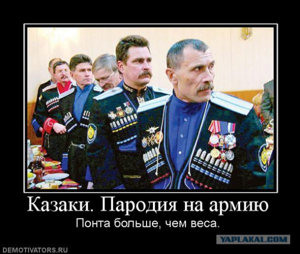 Казаки демотиваторы