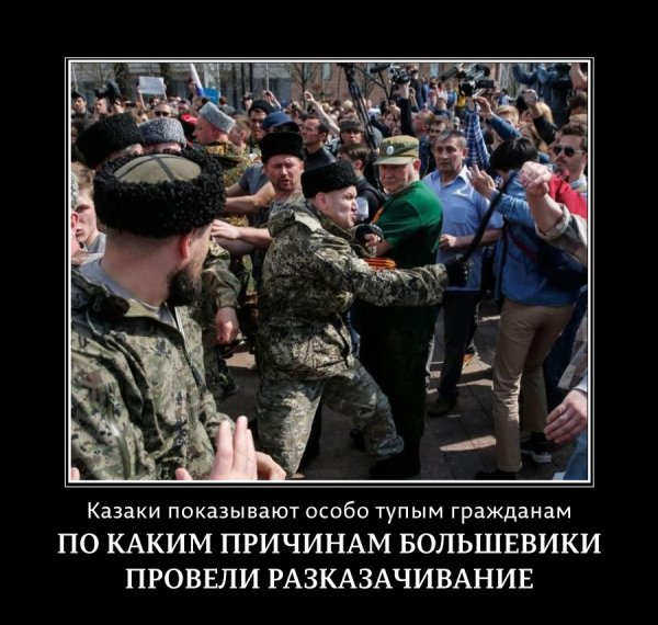 Казаки демотиваторы