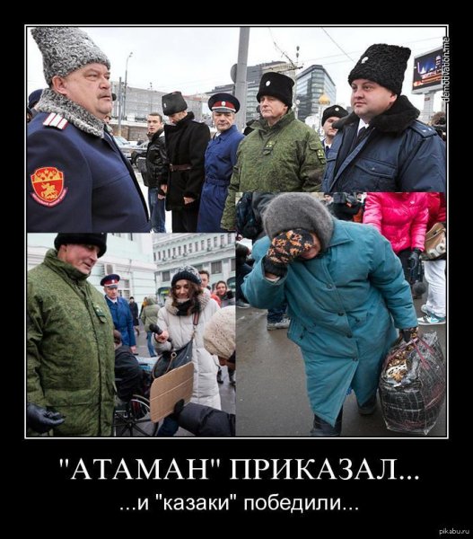 Казаки демотиваторы