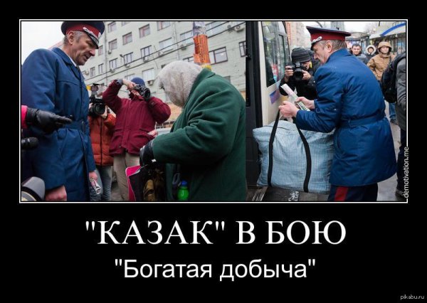 Казаки демотиваторы