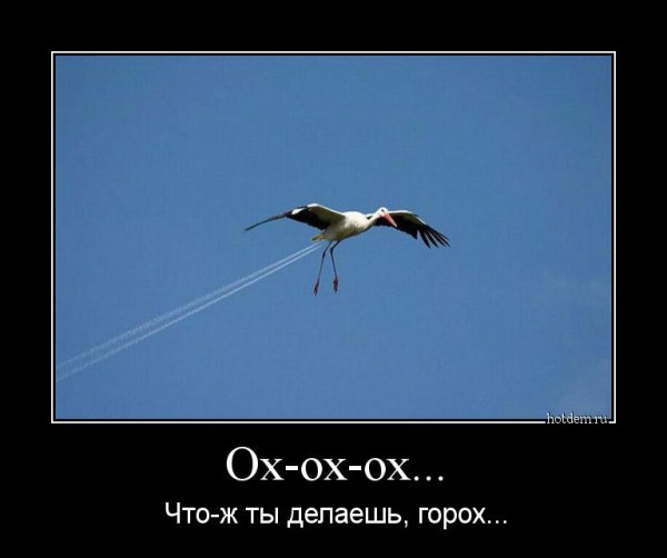 Аист прикол