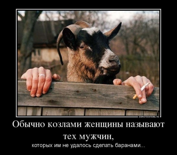 Приколы про Козлов