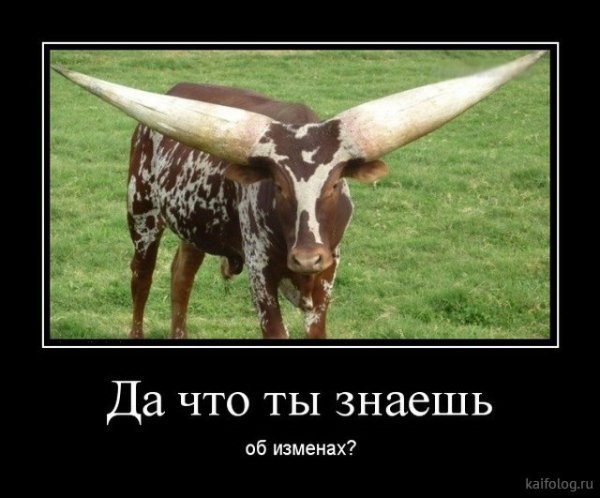 Коза демотиватор