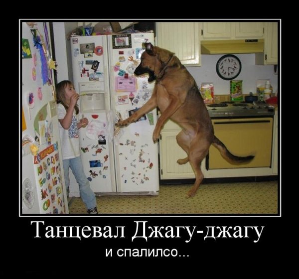 Ах ты ж ебаный ты нахуй