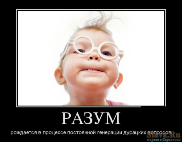 Шутки про интеллект