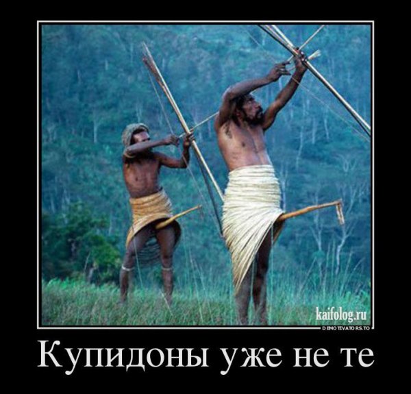 Смешной лучник