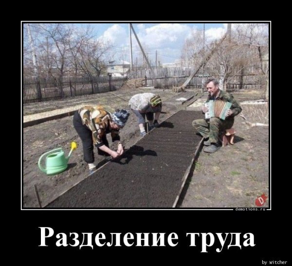 Шутки про труд