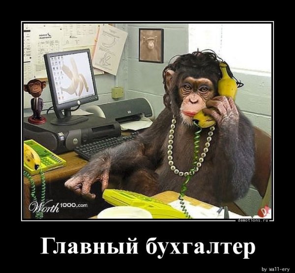 Бухгалтерия приколы