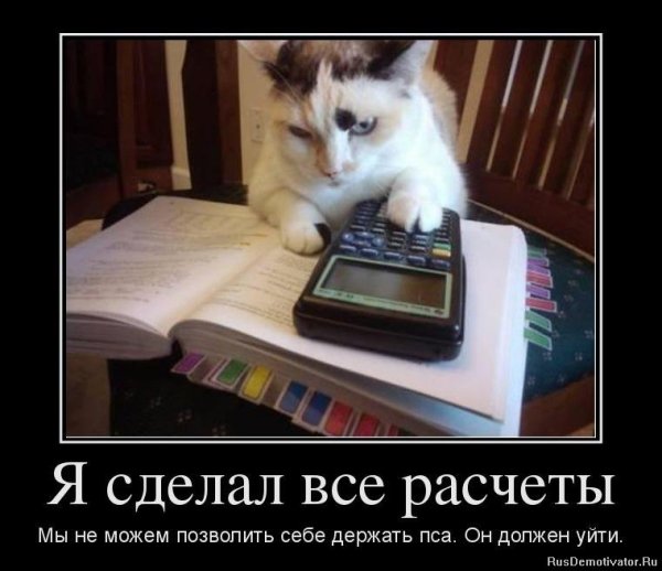 Демотиваторы про бухгалтерию