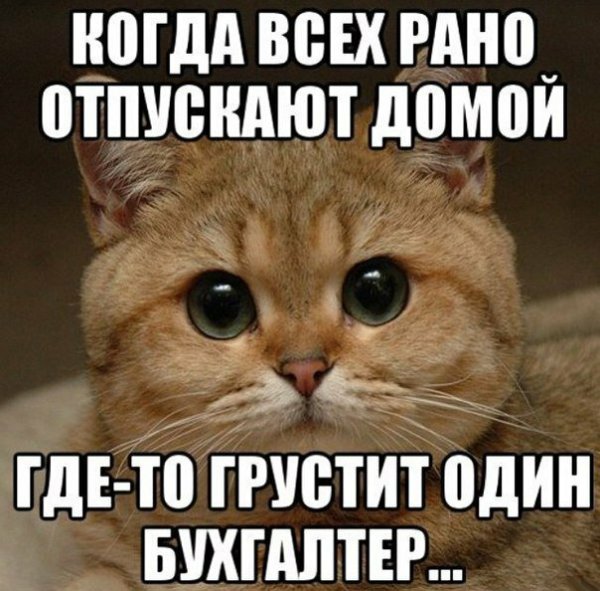 Шутки про бухгалтерию