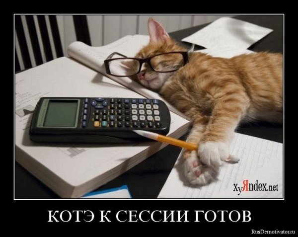 Бухгалтер прикол
