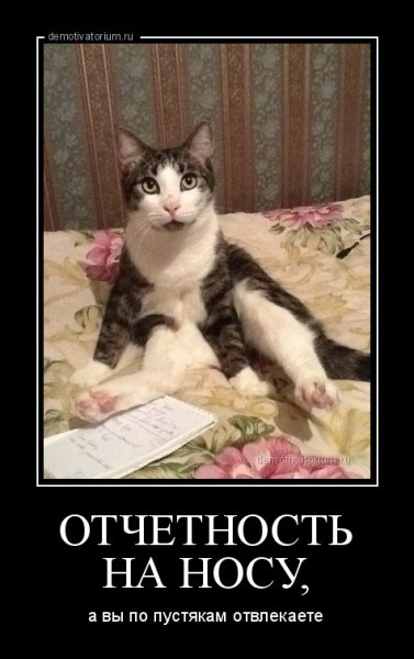Шутки про отчет