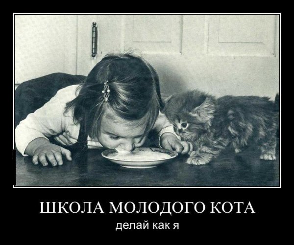 Зависть смешные картинки