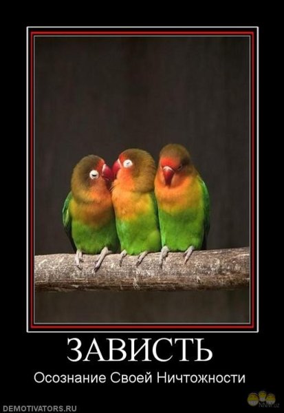 Приколы про завистников