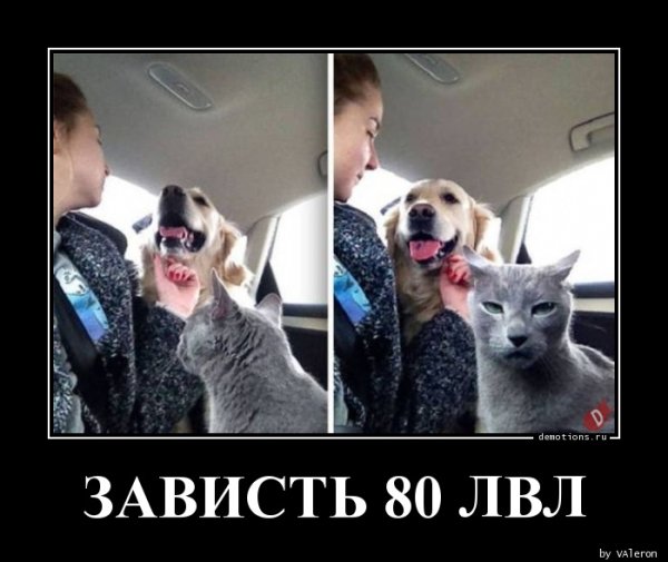 Мемы про зависть