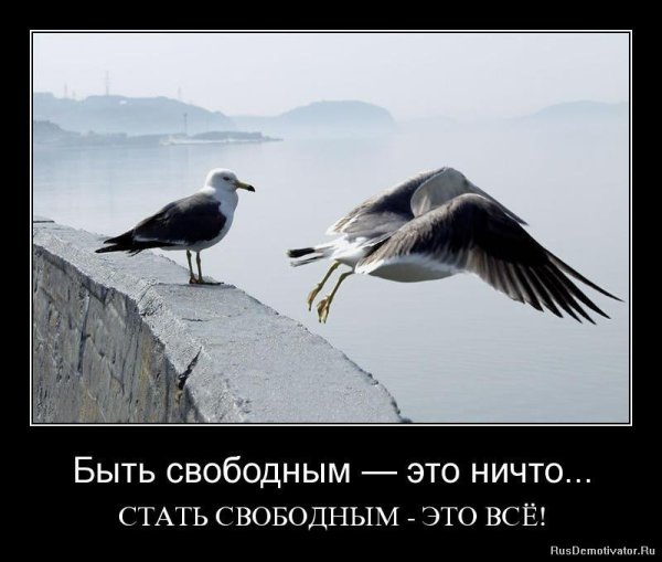 Быть свободным