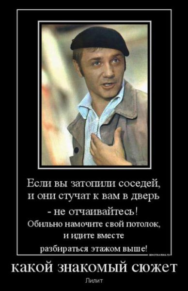 Дятел демотиватор