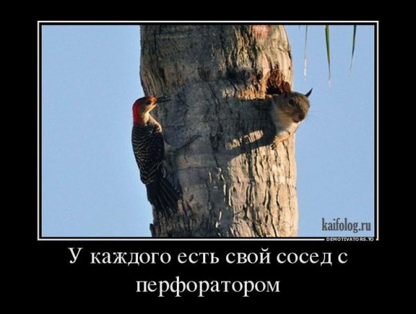 Доносчик карикатура
