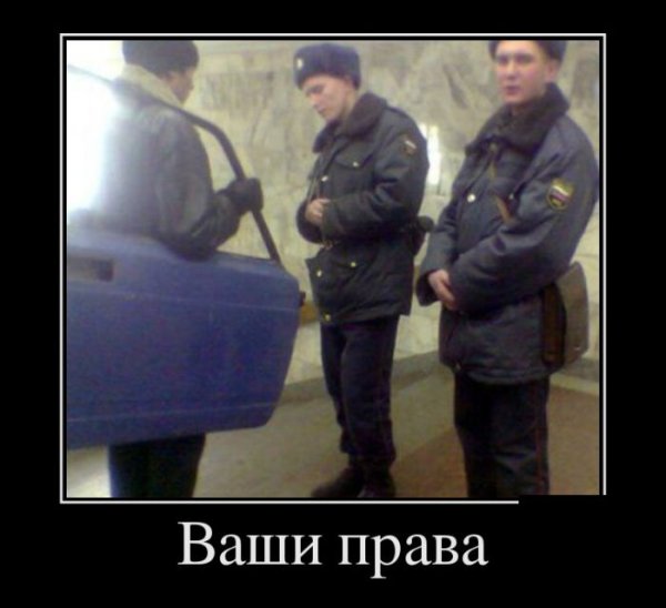 Билайн демотиваторы