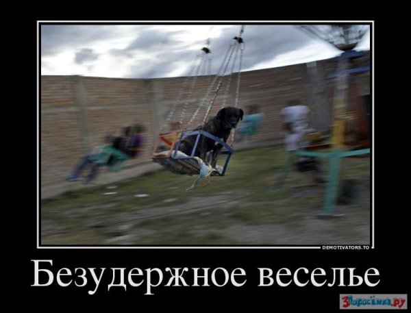Безудержное веселье
