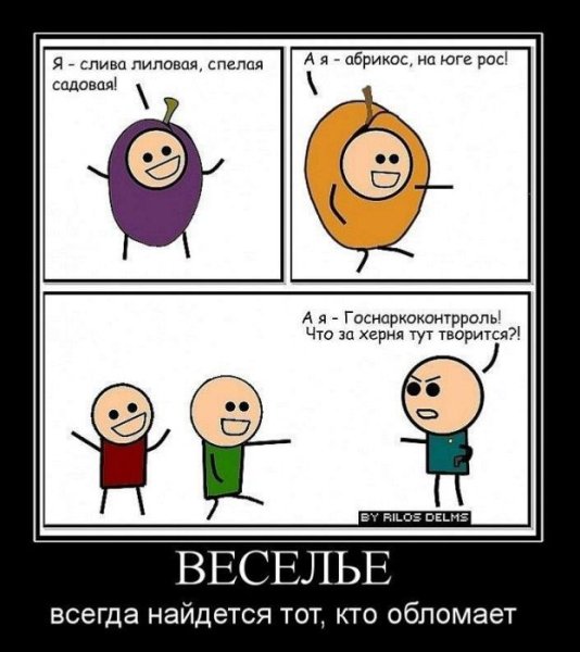 Я слива лиловая спелая