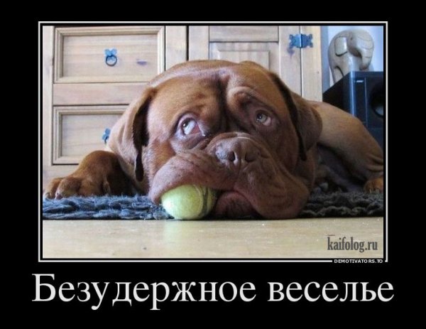 Весёлые демотиваторы для поднятия настроения