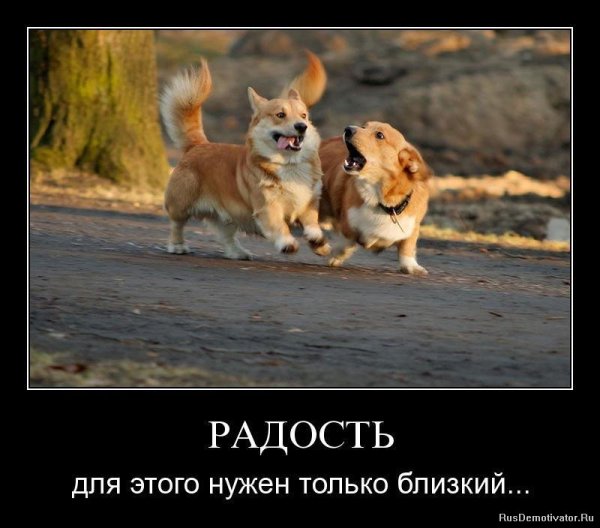 Радость демотиватор