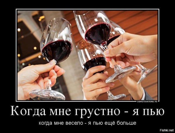 Выпивали? Демотиватор