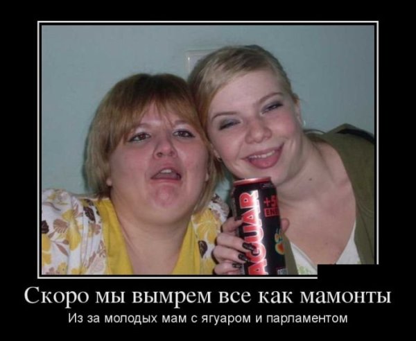 Ягуар демотиваторы