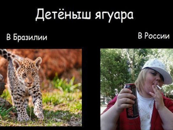 Ягуар мемы